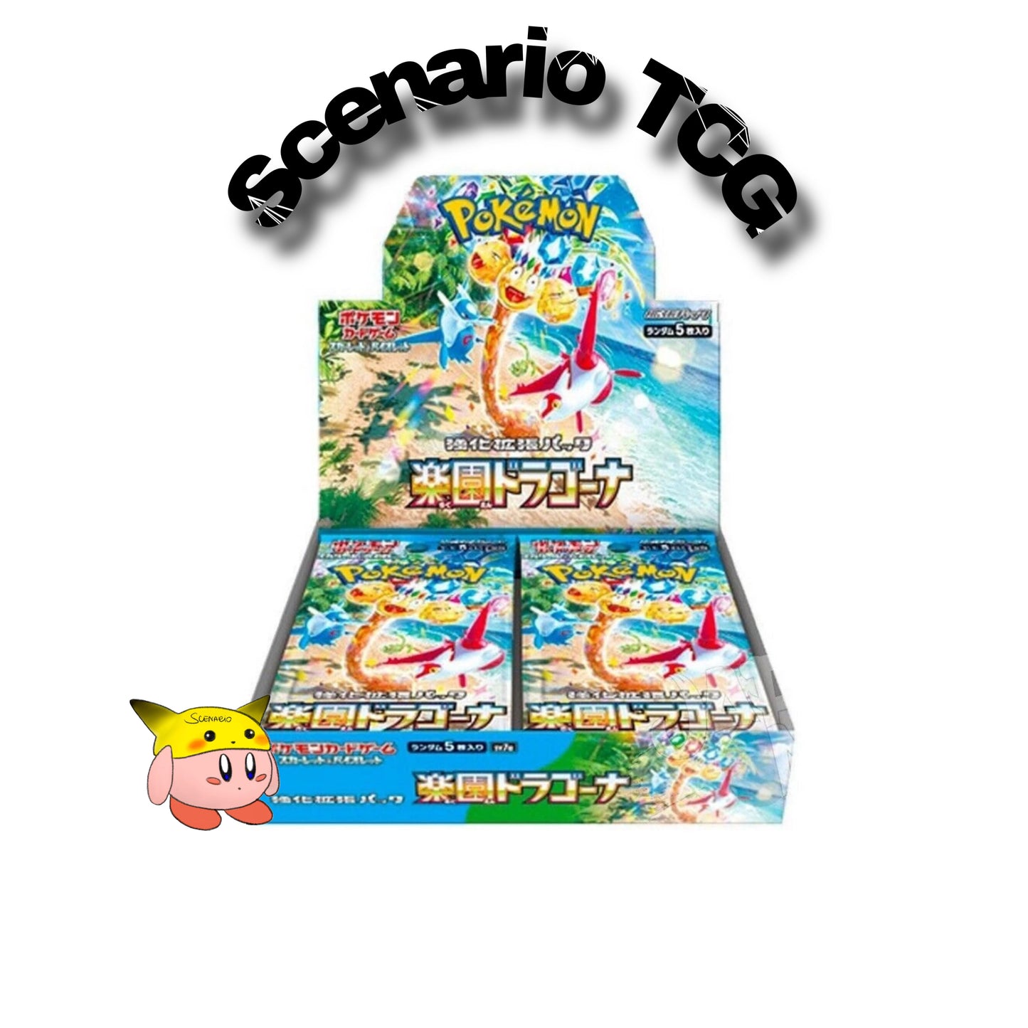 Paradise Dragona Display 30 Buste (JP)