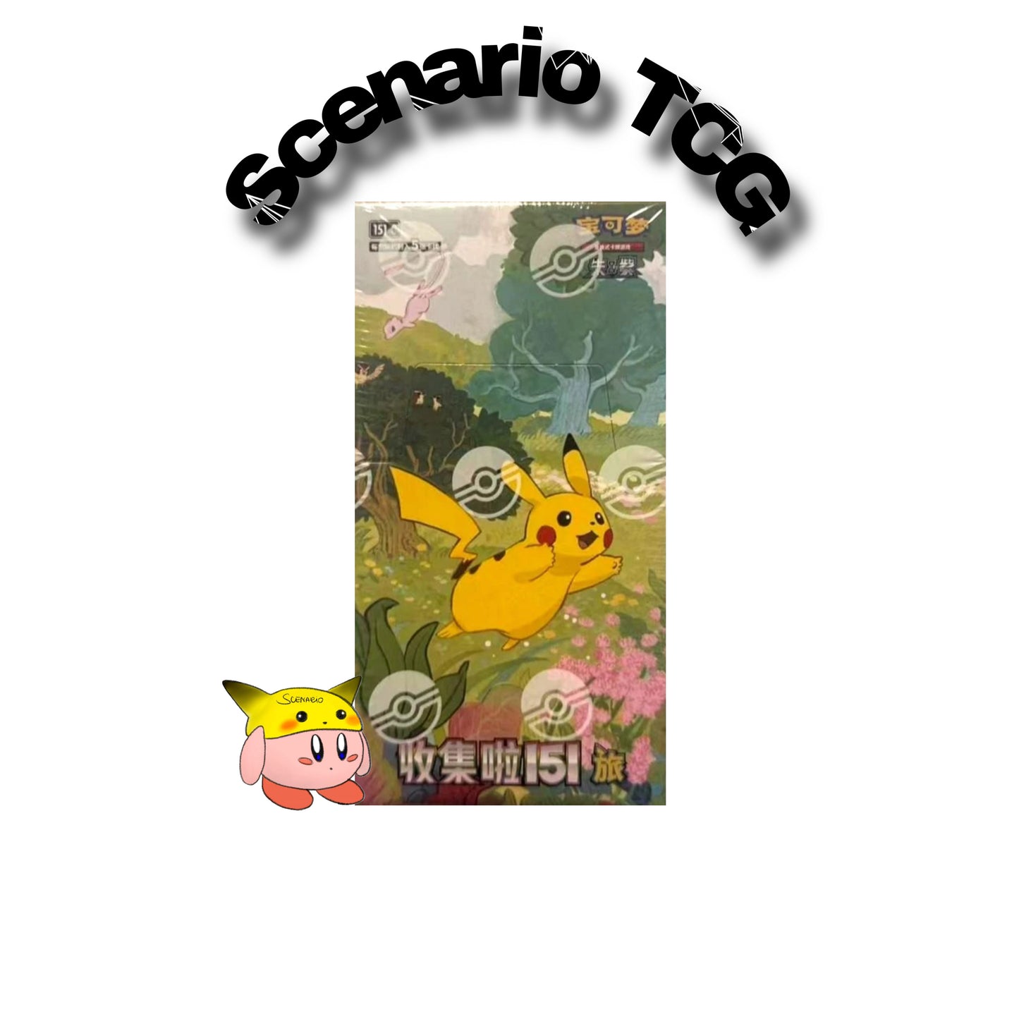 Collect 151 Journey Display 15 Buste (CN)